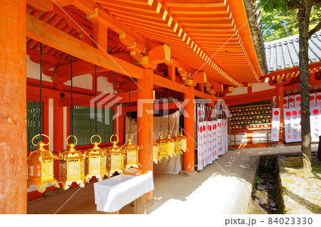 春日の燈籠　藤浪之屋　春日大社　 84023330