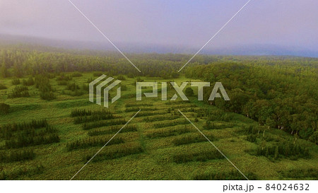 知床の森･草原〜ドローンで空撮（北海道斜里郡斜里町） 84024632