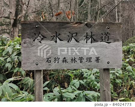 冷水沢林道（北海道札幌市南区） 84024773