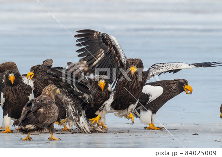 風蓮湖 冬景色 風蓮湖 冬景色 84025009