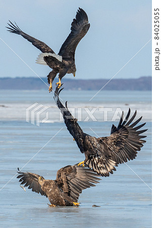 風蓮湖　冬景色 84025055