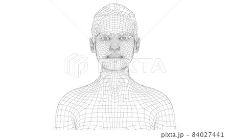 Wireframe portrait of a young beautiful girl 84027441