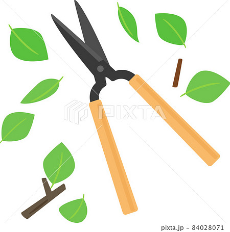 剪定鋏と散る葉と枝のイラスト素材