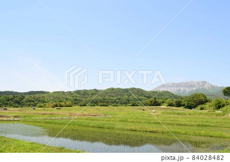 鳥取　江府 84028482