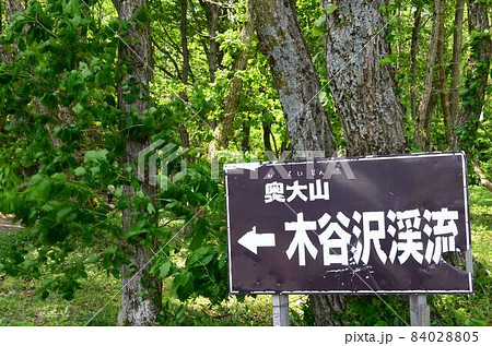 鳥取 木谷沢渓流 鳥取 木谷沢渓流 84028805