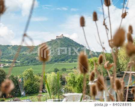 The ruins of the Devicky castle in Palava hills above artificial lake Nove Mlyny 84028895