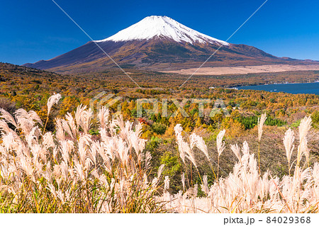 《山梨県》秋の富士山・山中湖パノラマ台 84029368