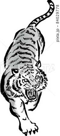 水墨画風に描かれた猛虎 モノクロ ベクターのイラスト素材
