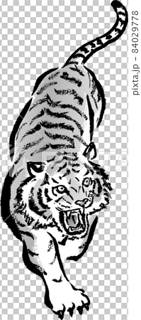 水墨画風に描かれた猛虎 モノクロ ベクターのイラスト素材