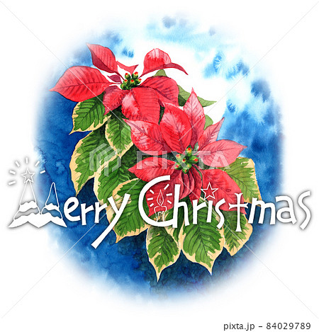 アナログ水彩ポインセチアとメリークリスマスの絵文字のイラスト アナログ水彩ポインセチアとメリークリスマスの絵文字のイラスト