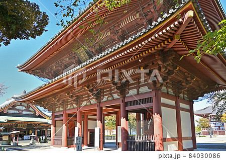 池上散歩：池上本門寺　日蓮宗大本山　仁王門 84030086