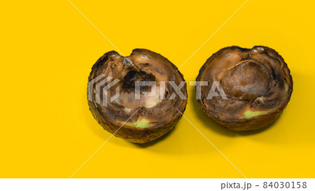 Rotten Avocado on Yellow background. Close up details Rotten tropical Fruits. Copy space on Yellow background about Food. 84030158