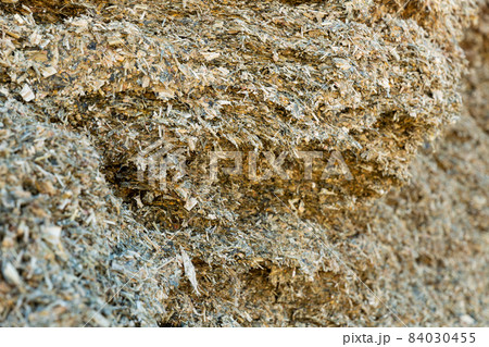 Closeup of pile of natural organic pressed maize silage Closeup of pile of natural organic pressed maize silage 84030455