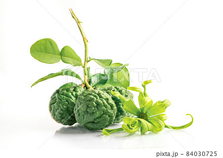 Fresh bergamot fruit or kaffir lime with cut in half on wooden background. Fresh bergamot fruit or kaffir lime with cut in half on wooden background. 84030725