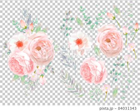 Vector illustration material of pink rose... - Stock Illustration ...