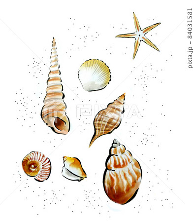 貝で作成している絵 貝,砂浜のイラスト素材 [84031581] - PIXTA
