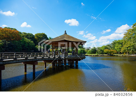 奈良公園の池と浮見堂 84032656
