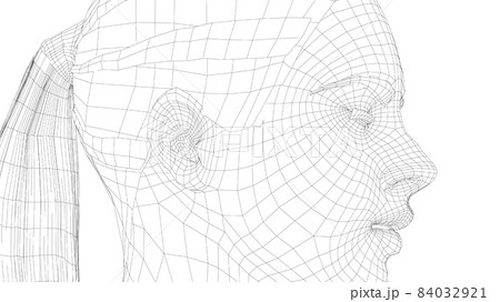 Wireframe portrait of a young beautiful girl Wireframe portrait of a young beautiful girl 84032921