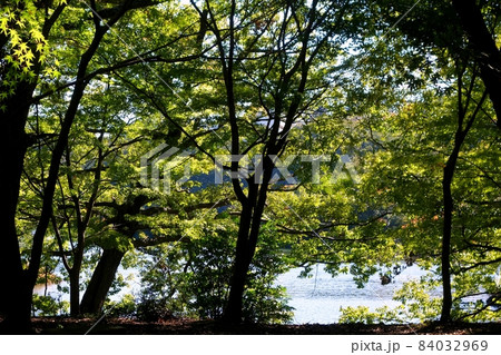一碧湖 伊豆の瞳 10月の終わり 青い瞳 青空 一碧湖 伊豆の瞳 10月の終わり 青い瞳 青空 84032969