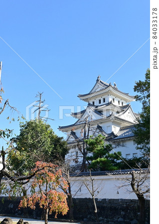 大垣城天守閣の本丸と青空 84033178