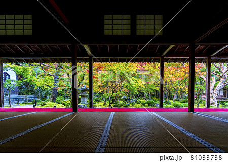 圓光寺の風景　紅葉した庭園　京都府京都市 84033738