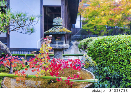 圓光寺の風景 水琴窟ともみじ 京都府京都市 圓光寺の風景 水琴窟ともみじ 京都府京都市 84033758