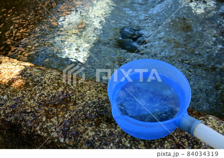 水都の豊富な湧き水(名水百選) 水都の豊富な湧き水(名水百選) 84034319