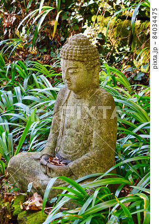 鎌倉 妙法寺の仏像 84034475