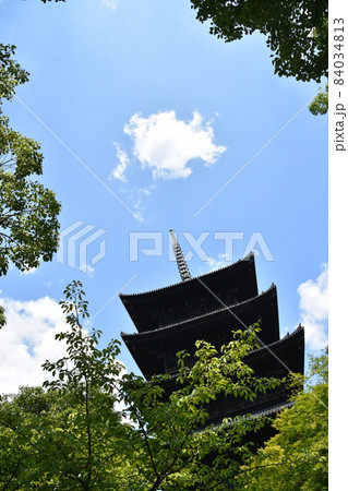 夏の京都　東寺　五重塔 84034813