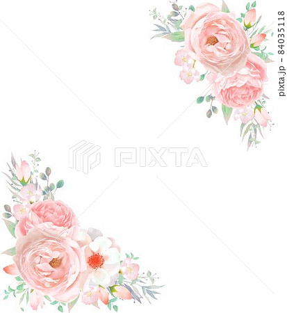 優しい色使いのピンク系のバラの花とリーフの招待状フレームベクターイラスト素材のイラスト素材