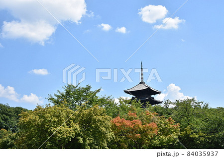 夏の京都　東寺　五重塔 84035937