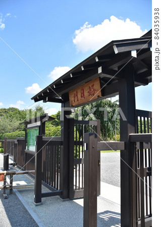 夏の京都　東寺　境内の風景　 84035938