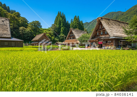 富山県　世界遺産　五箇山　菅沼集落 84036141