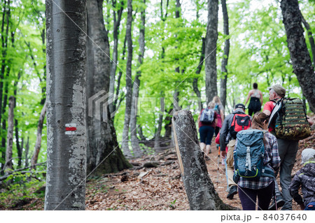 travelers climb the mountain in a forest hike travelers climb the mountain in a forest hike 84037640