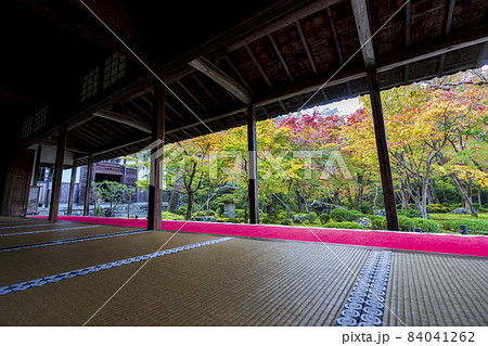 圓光寺の風景 紅葉した庭園 京都府京都市 圓光寺の風景 紅葉した庭園 京都府京都市 84041262