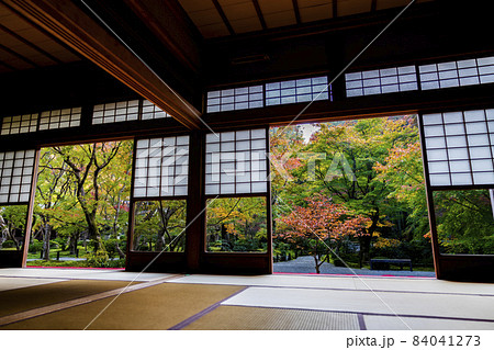 圓光寺の風景　紅葉した庭園　京都府京都市 84041273