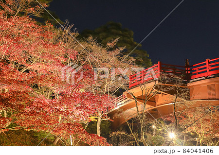 新潟三大紅葉ライトアップ　弥彦公園 もみじ谷 84041406