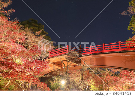 新潟三大紅葉ライトアップ　弥彦公園 もみじ谷 84041413