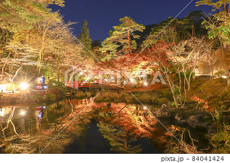 新潟三大紅葉ライトアップ 弥彦公園 もみじ谷 新潟三大紅葉ライトアップ 弥彦公園 もみじ谷 84041424