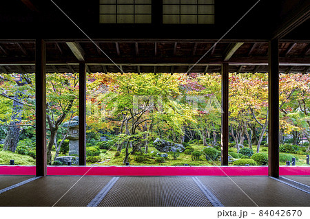 圓光寺の風景　紅葉した庭園　京都府京都市 84042670