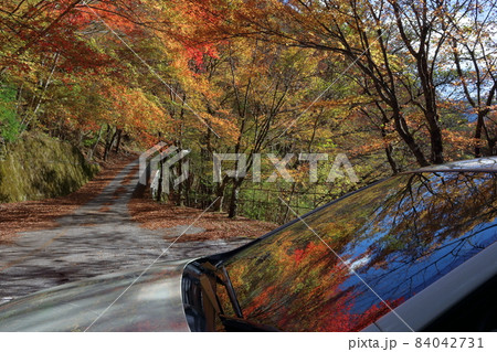 西熊渓谷　色づく紅葉　映り込み　（高知県　香美市） 84042731