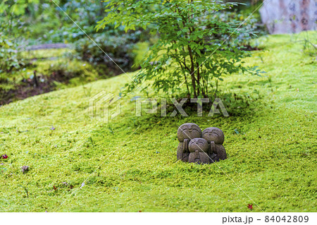 詩仙堂丈山寺の風景　地蔵と苔　京都府京都市 84042809