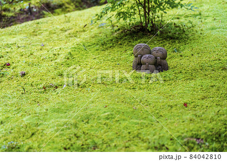 詩仙堂丈山寺の風景　地蔵と苔　京都府京都市 84042810