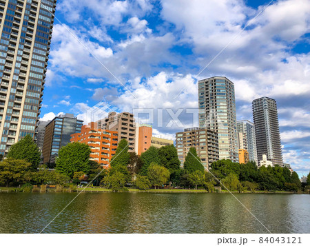 東京・池之端の高層マンション群 東京・池之端の高層マンション群 84043121