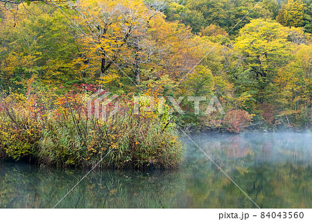 鎌池の水辺 鎌池の水辺 84043560