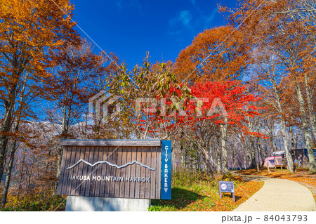 紅葉真っ盛りのハクバマウンテンハーバー【長野県】 84043793