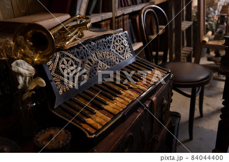 アコーディオン 楽器 アコーディオン 楽器 84044400