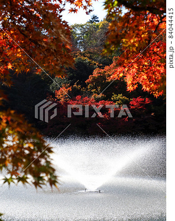 古城公園 噴水 5 古城公園 噴水 5 84044415
