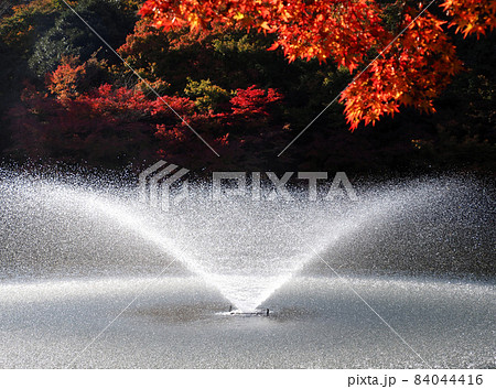 古城公園　噴水 6 84044416