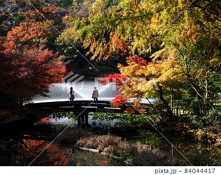 古城公園 噴水 7 古城公園 噴水 7 84044417
